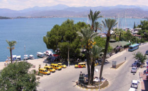 Fethiye harbour paspatur palm center
